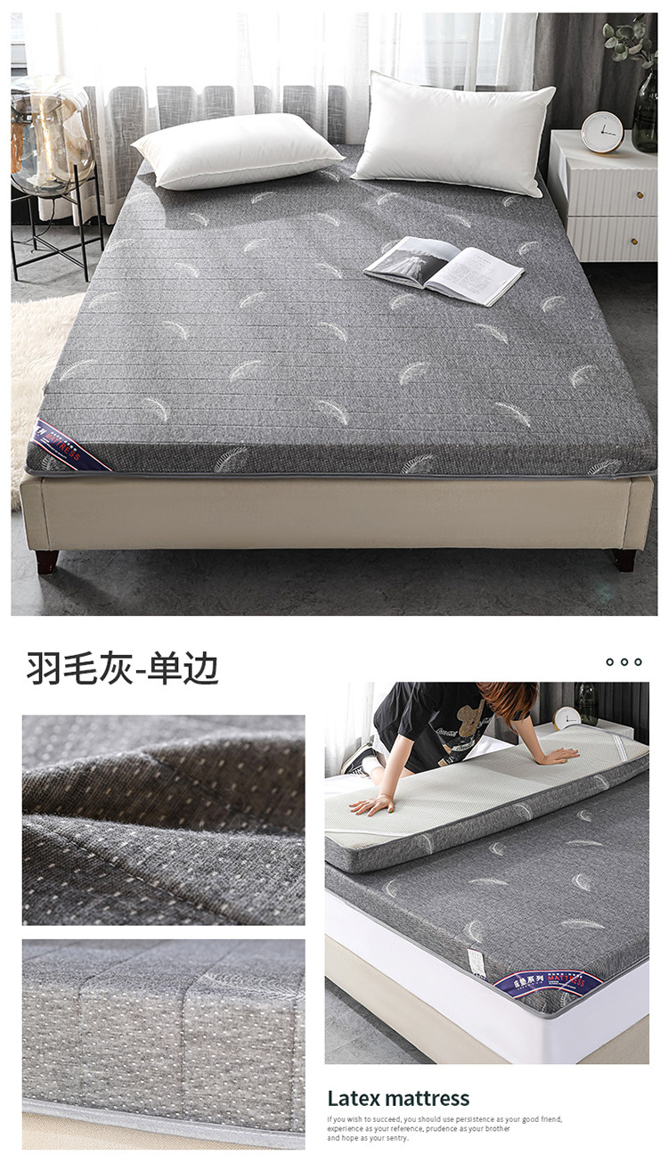 羽毛灰-单边.jpg