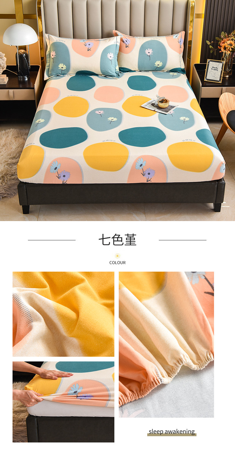 七色堇.jpg