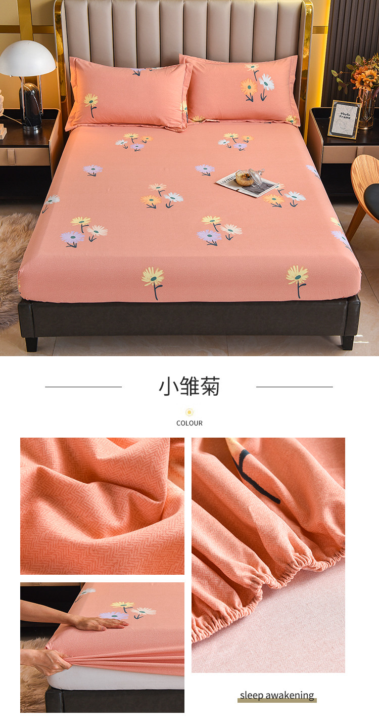 小雏菊.jpg