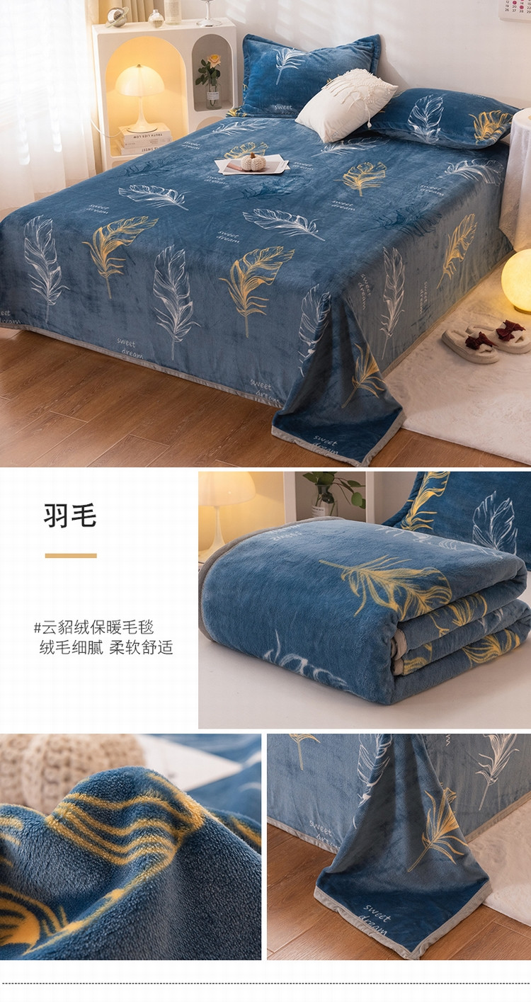 羽毛.jpg