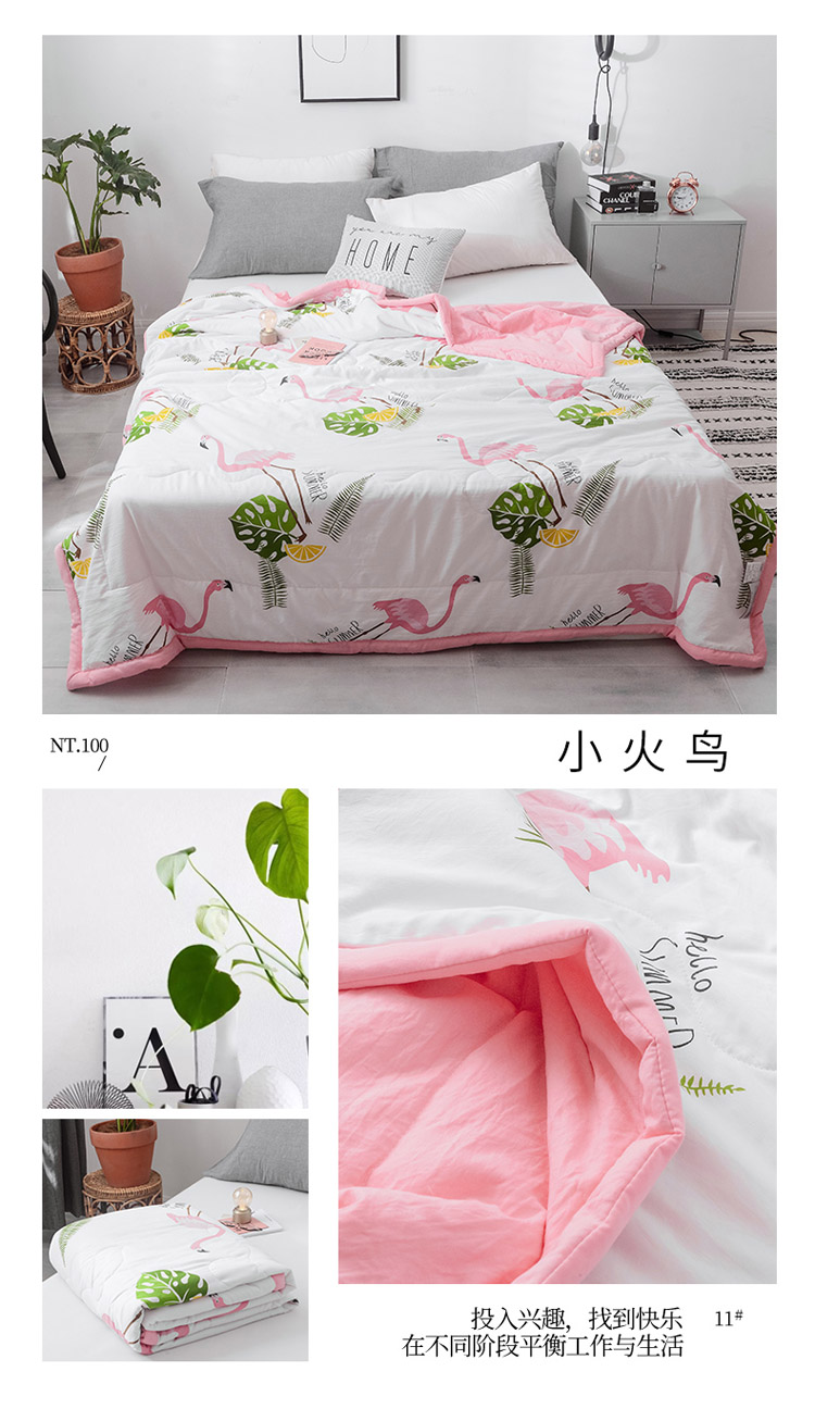 小火鸟.jpg