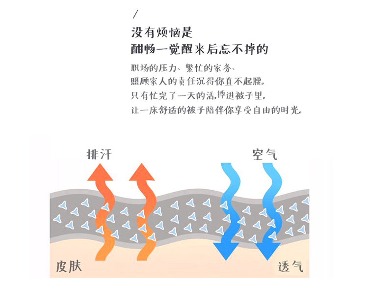 (总)绵屋 2019新款60s雅赛尔大提花羊绒蛋白立体被