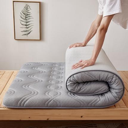 钻爱床垫 专版花型 2022新款学生新针织抗菌防螨有氧棉床垫梦幻灰-单边