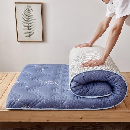 钻爱床垫 专版花型 2022新款学生新针织抗菌防螨有氧棉床垫梦幻蓝-单边