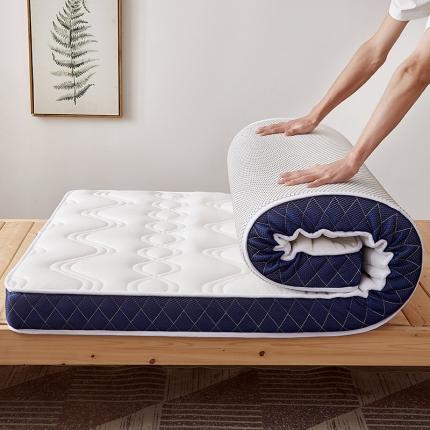 钻爱床垫 专版花型 2022新款学生新针织抗菌防螨有氧棉床垫梦幻白-双边