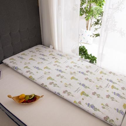 学生床垫可折叠家用榻榻米定做竹炭地炕垫子飘窗垫窗台垫 小皱菊