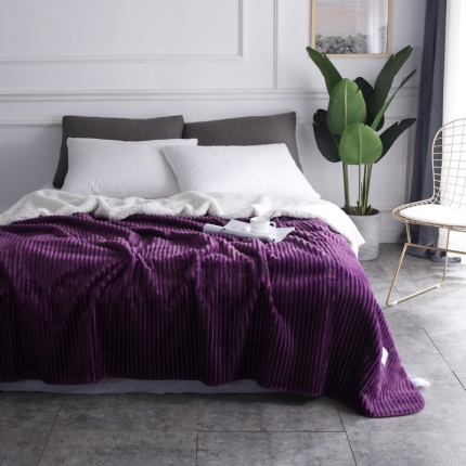 网客家纺 魔法绒羊羔绒复合毛毯 水晶紫