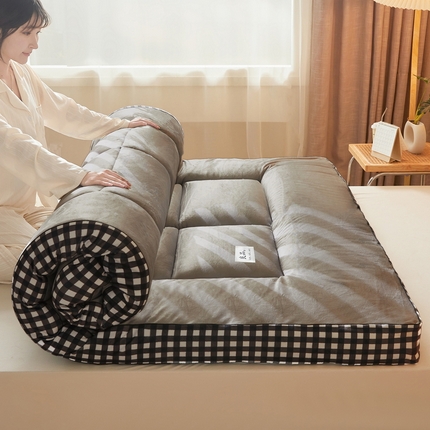 （总）迪乐妮垫业  2023新款A类水洗棉成人立体软床垫