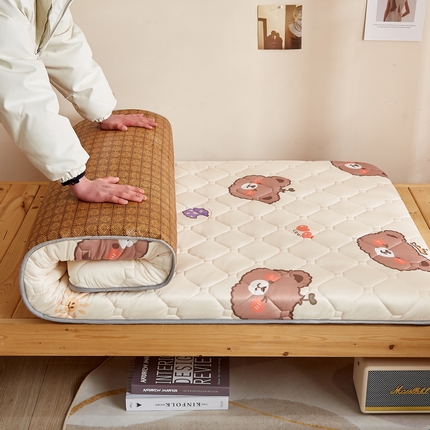 （总）迪乐妮 2023新款单人床日式榻榻米藤席双用床垫