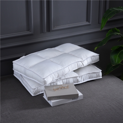 （总）赛格时代家居   枕芯 全棉贡缎区位定型枕芯