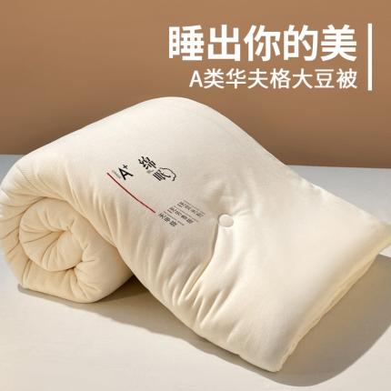 （总）一加一 2022新款A类华夫格亲肤大豆被