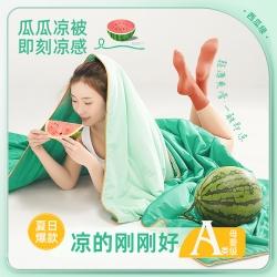 91家纺网 家纺一手货源 找家纺 （总）欢乐季 2023新款A类复古双层纱豆豆绒冬被被子被芯