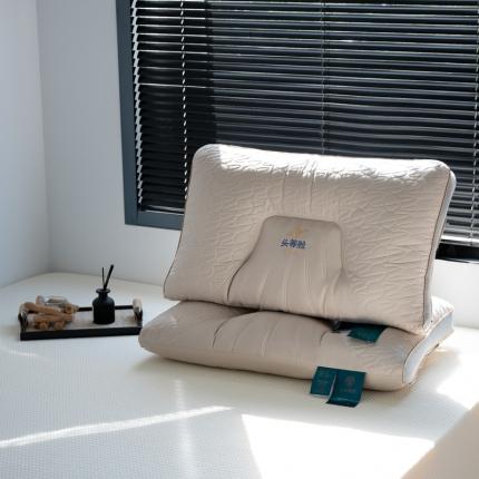 （总）贤内助 2023新款全棉定型枕保健枕羽丝枕枕芯枕头 头等舱-咖
