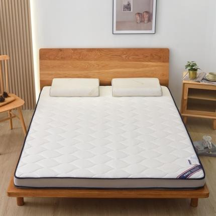 （总）2023新款针织棉乳胶记忆海绵床垫立体大床 床垫系列