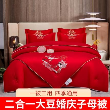 （总）玉雅 2023新款水洗磨毛婚庆大豆子母被