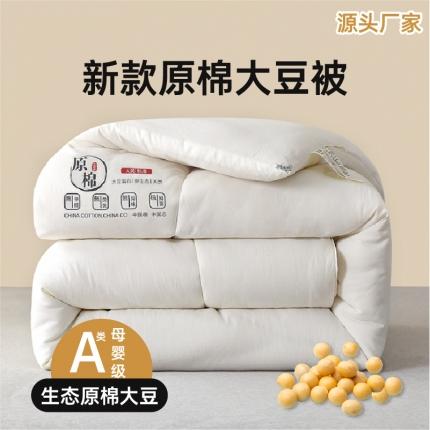 （总）中国龙 2023新款A类母婴级日式原棉无染大豆被冬被