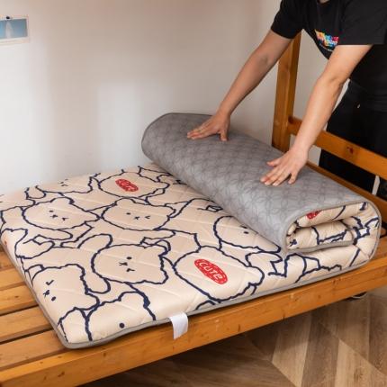 （总）暖季2023新款磨毛加厚防滑学生宿舍床垫绗绣印花床垫子